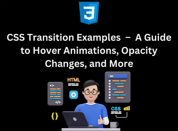 CSS Transition Examples – A Guide to Hover Animations, Opacity Changes, and More
