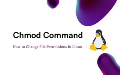 Chmod Command – How to Change File Permissions in Linux