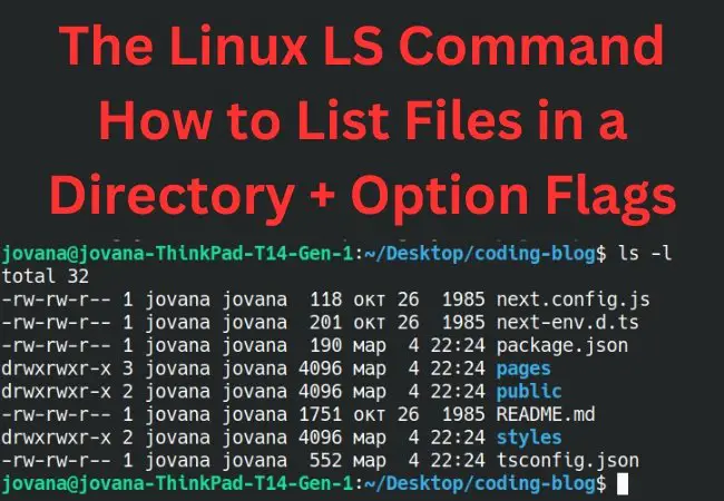 Linux LS Command: A Comprehensive Guide to Listing Files in a Directory with Option Flags